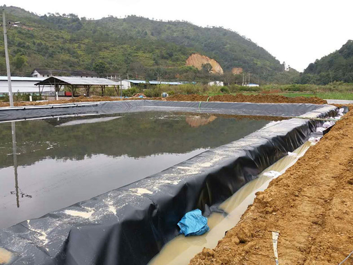 魚(yú)塘里用土工膜做防滲層需不需要回填土壤？